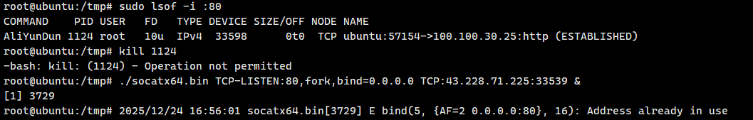image-20251224170744853