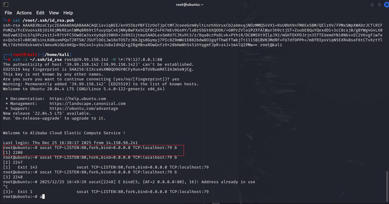 image-20251225170403085