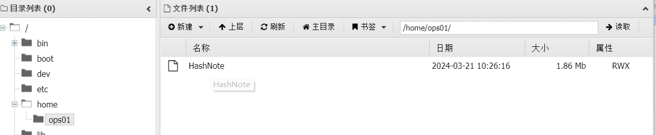 image-20260111214940242