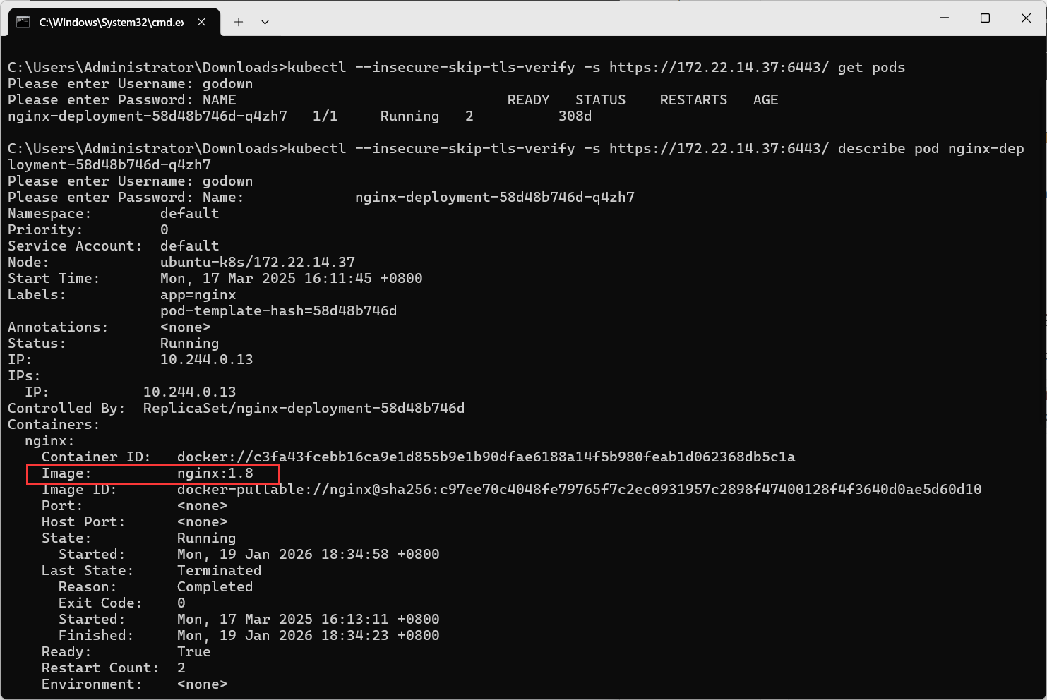 image-20260119195237618