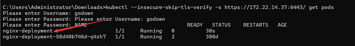 image-20260119195522107