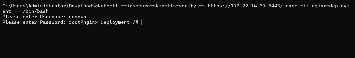 image-20260119195606115