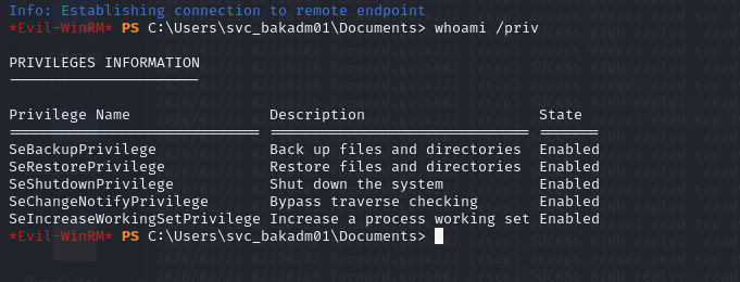 image-20260121152326430