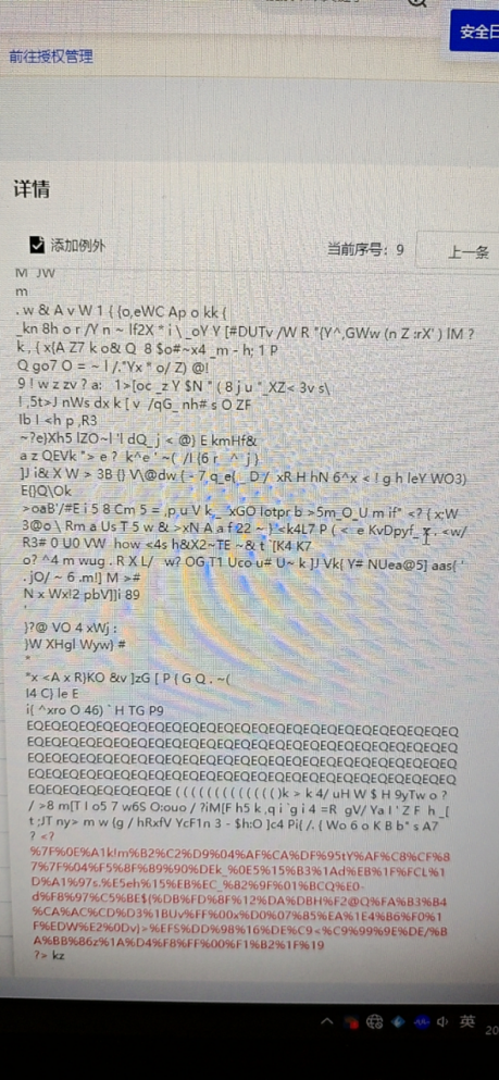 image-20250730090312400